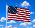 Freedom Still Flies