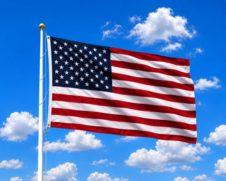 Freedom Still Flies